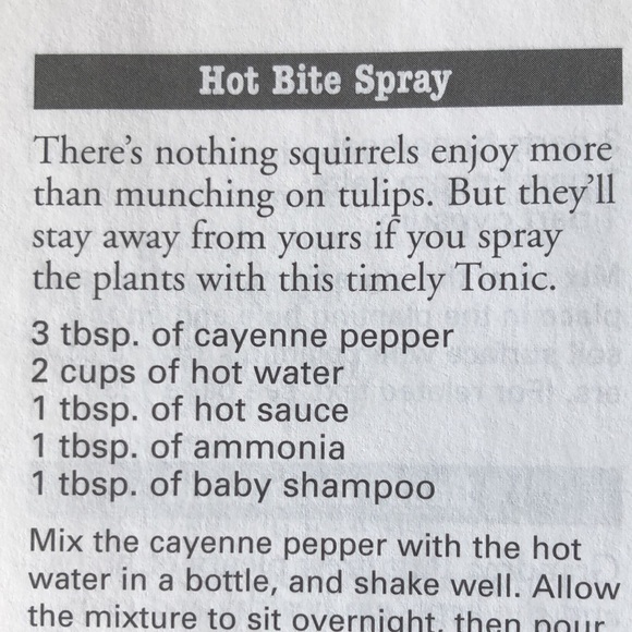 Natural Solutions to Problems in Garden! - Picture 14 of 14